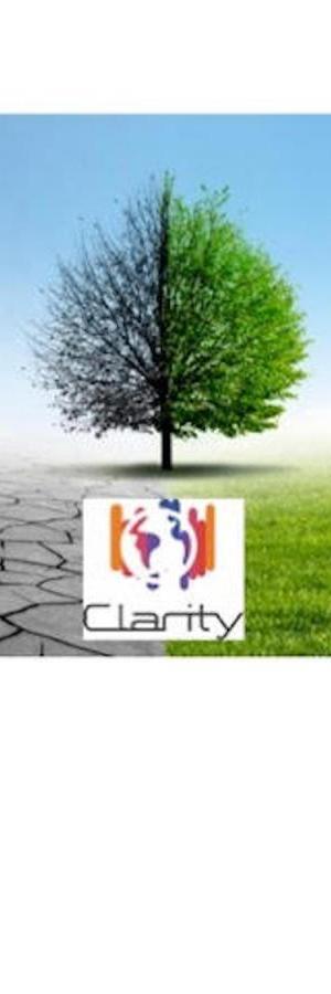CLARITY LOGO