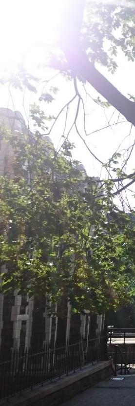 The City College of New York Campus